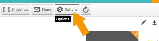 Options