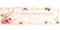 The Adventures Of Boogerhead and Me