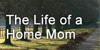 The Life of a Home Mom