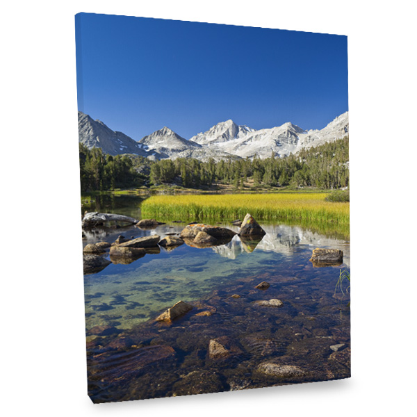Add a hint of natural beauty and elegance to your decor with our Mountain Stream canvas print.