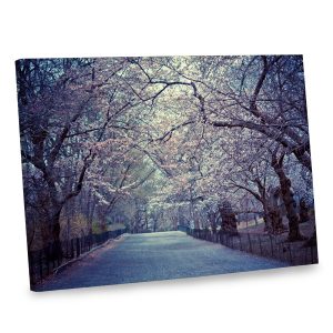 Add an air of springtime to your home decor with our cherry blossom photo canvas print.