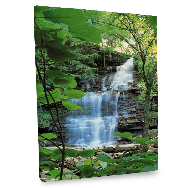 Incorporate natural beauty into your daily life with our stunning waterfall photo canvas.