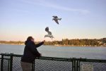 Action can be anything from sports to catching birds mid-air in flight