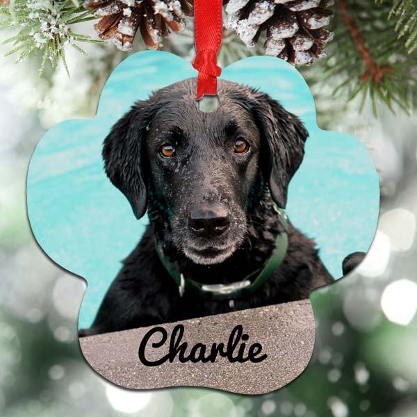 Add your pet to your tree with a cute paw shaped ornament showing their picture